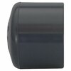 Charlotte Pipe And Foundry PVC PVC Pipe Fitting, Socket x FNPT PVC 08116 1200